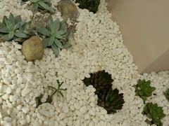 -织荆鸟咖啡(首开福茂店)