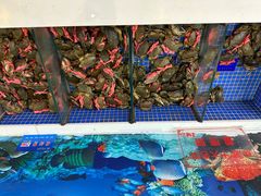 -益利大酒楼(井岸店)