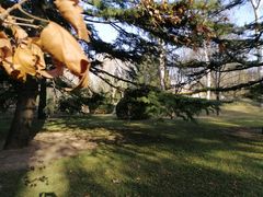 -北京动物园-畅观楼