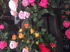 -秦美花卉(天朗·莱茵小城2期店)