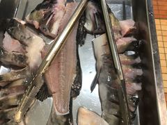 -鲜椒鱼·雅安地标性美食