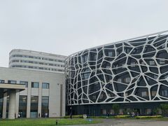 -首都医科大学附属北京天坛医院