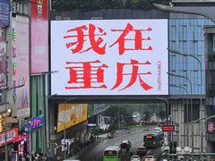 -烤匠麻辣烤鱼(观音桥大融城店)
