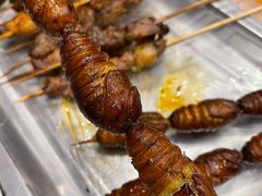 -京朋串屋·烧烤(望京西路总店)