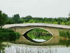 -东郊湿地公园