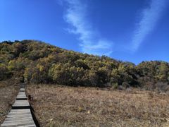 -白草畔自然风景区