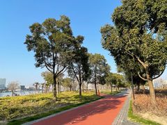 -上海山野camping·户外天幕烧烤·团建拓展营地