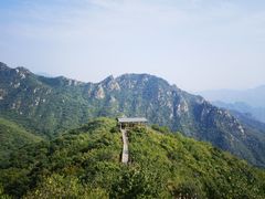 -大岭沟猕猴桃谷风景区