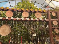 -呀路古热带植物园