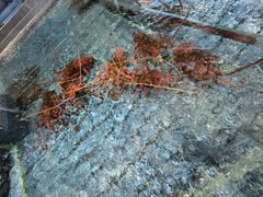 -顺风山庄(水濂山店)