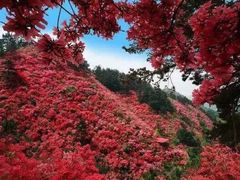 -木兰云雾山
