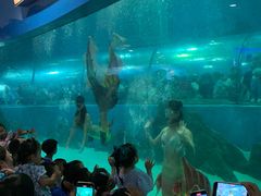 -银吉姆健身(景城邻里中心馆)