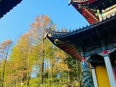 -九华山风景区