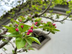 -朝阳公园