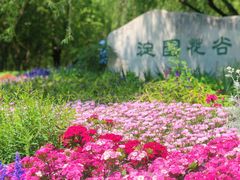 -海淀公园