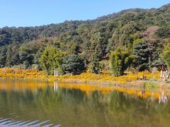 -广州市石门国家森林公园