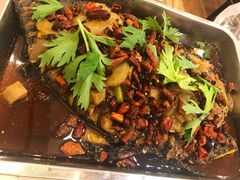 香辣味烤鱼-沈姐万州烤鱼(沙坪坝七中店)