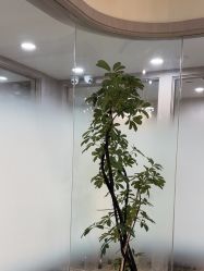 -智美品质医美