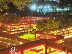 -新江湾城公园