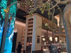 -桂满陇·海市蜃楼·黑金(国金店)