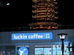 -黄鹤楼公园(黄鹤楼)