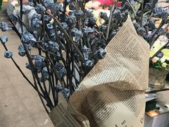 -双季花艺园艺市场(浦东店)