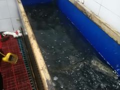 -活鱼馆(宜兴埠店)