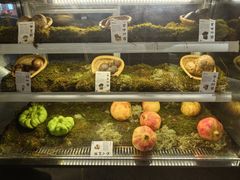 -滇野云南野生菌餐厅(陕西南路店)