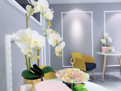 -MIVI野生眉纹绣纹眉