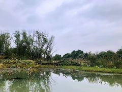 -西溪国家湿地公园