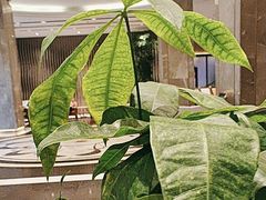 -华海酒店(茂名高铁站店)