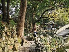 -绮园景区