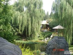 -紫竹院公园冰场
