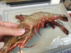 -ZF Seafood Restaurant 卓峰海鲜餐