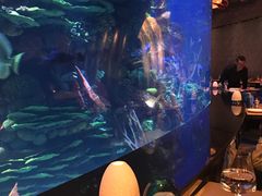 -迪拜帆船酒店海底餐厅