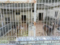 -北宫国家森林公园