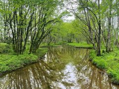 -西溪南古村落景区