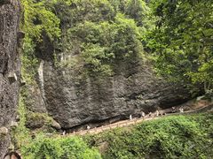 -青城山