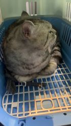 -鼎极摄影(世纪金源店)