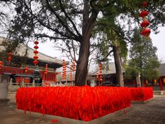 -红螺寺