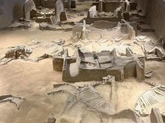 -洛阳周王城天子驾六博物馆