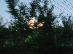 -九寨沟-树正沟