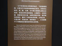 -河姆渡遗址博物馆