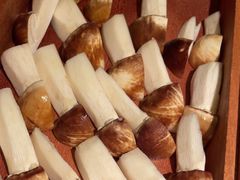 -二刀潮牛(重庆光环购物公园店)