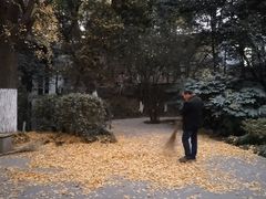 -伯先公园