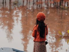 -白鹭湾湿地公园