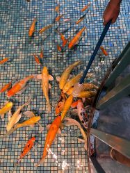 -酷嗒动物文化乐园(cutezoo西溪乐天城店)