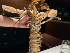 -Oyster Talks 四度蚝法餐厅