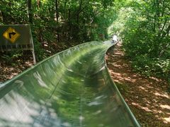 -富斯特索道