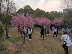 -贵阳市花溪国家城市湿地公园